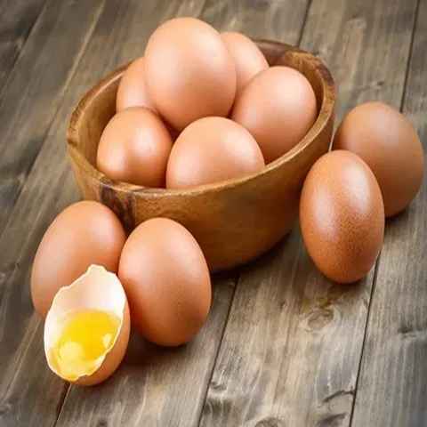 قیمت خرید تخم مرغ رسمی + فروش ویژه